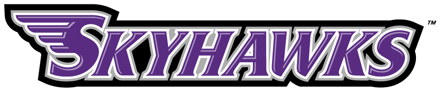 Stonehill Skyhawks 2005-2017 Wordmark Logo v4 diy iron on heat transfer